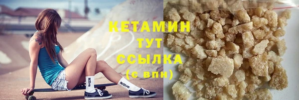стаф Ельня
