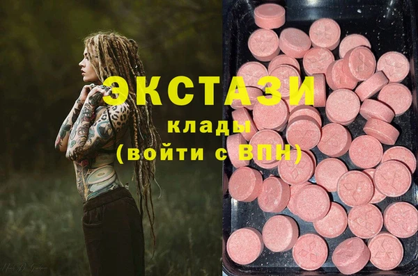 стаф Ельня