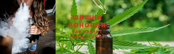 Альфа ПВП Елизово