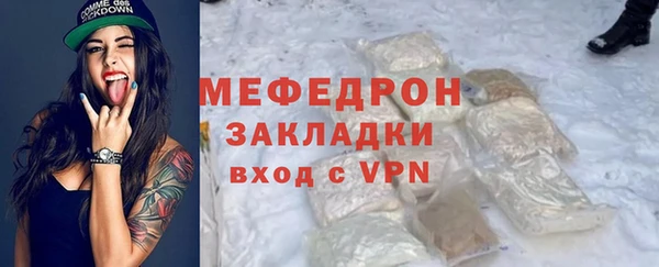 стаф Ельня