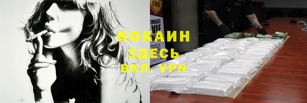 стаф Ельня
