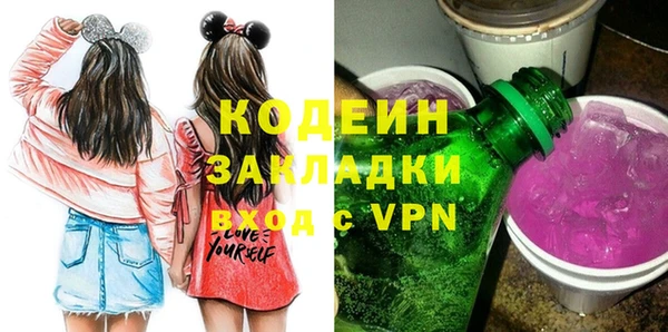 стаф Ельня