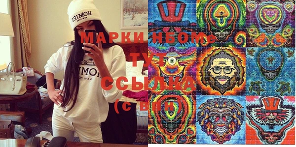 стаф Ельня