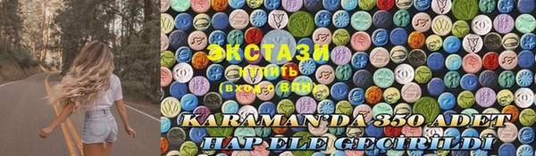 стаф Ельня