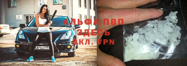 стаф Ельня