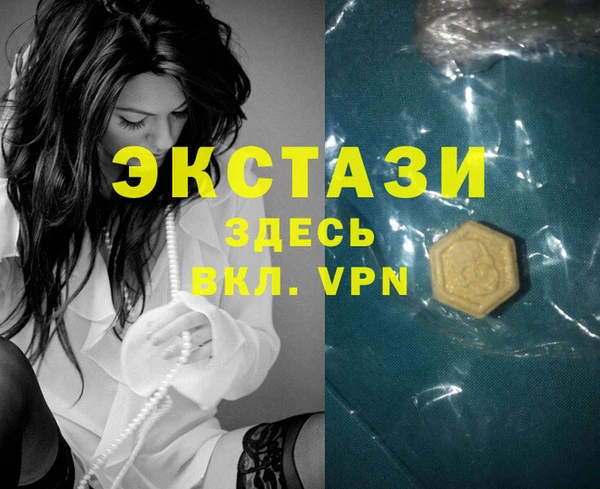 стаф Ельня