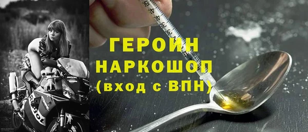 стаф Ельня