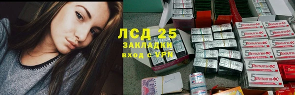 Альфа ПВП Елизово