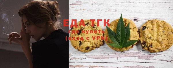 стаф Ельня