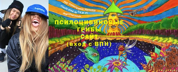 дурь Елабуга